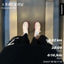 반스완 이미지