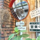 오모차토모
