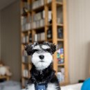 스마일 옷수선 이미지