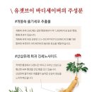 [식물줄기세포 통증완화 크림] 유겟브이 바디세이버 2ml, 50ml, 100ml