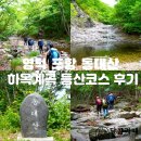영덕 동대산 포항 하옥계곡 입구 등산코스 후기