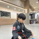 하나 합기도 | 진영읍 합기도 – 진영실전합기도의 급수를 이용한 스피드쌍절봉 수련 효과