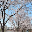 양산호수공원 이미지