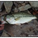 힛트랜드 이미지