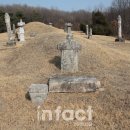 죽산박씨 문헌공파 묘역(박원형, 박안성, 박지영 묘) 이미지