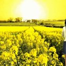 이미지가 너무 예뻐 이미지