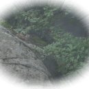 심산유곡 앞 Daum카페