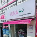 유나샵 | 🦎 게코 좋아하면 무조건 가봐야 하는 곳! 울산 북구 파충류샵 유나게코 방문 후기 (분양 성공✨)