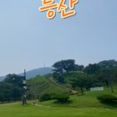 임학공원 출렁다리 이미지