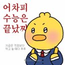 핏포레스