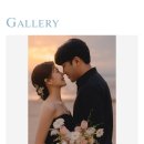 비와이 인터네셔널