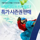 대명 비발디파크 스키장 시즌권 (17/18) 판매합니다 이미지