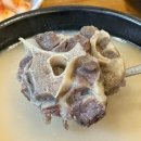 꼬리 | 목포점심맛집 박병궁명인 목포설렁탕 목포본점 꼬리곰탕 갈비탕 후기