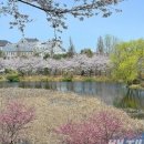 용산환승 공영주차장 앞 이미지