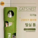 고양이집 이미지