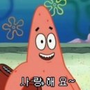 비래키키 이미지
