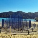 갯마을을 그리워하는 이미지