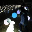 심심토끼 이미지