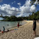 파라다이스 코브 이미지