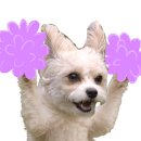 양천향교역 7-8번 출구 사이 이미지