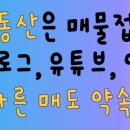 망고 부동산중개사무소 이미지