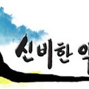 대둔산로199번길 이미지