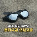 수경 | 제주도 바다에서 써본 물안경추천! 팬더수경 안티포그수경 김서림방지수경 후기