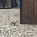 커피0920