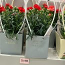 도심속작은자연flos