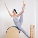 꼬모플레리 이미지