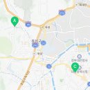 대전고양이분양 퍼피댕 캣 안심분양소 둔산점 이미지