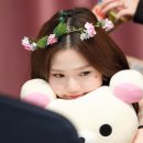 효정 이미지