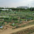 성동농장 이미지