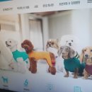 도안 ECO 종합동물병원 이미지