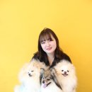 끄레므멍 이미지