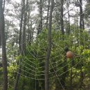 나오리농장 이미지