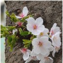 장군 | 서대문점집, 운세 보러 간 백마장군 신점 후기