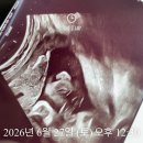연희산부인과 네이버블로그