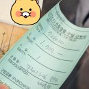 주연양품 | 2026 갤럭시 S26 울트라 vs 플러스 vs 기본형: 7인 유튜버가 말하는 '역대급 급나누기' 총정리!