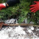 토산농장 이미지