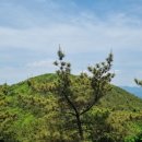 수정4동초소 네이버블로그