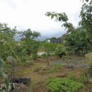 귀향공인중개사사무소 이미지