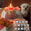 뽀미까까 이미지