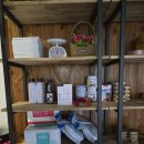 퍼스트펫 이미지