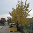 영흥초교 이미지