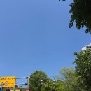 UR(파주시)-[책향기숲길]-하-8 | 스트레스 오지게 받는 5월