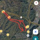 얼바인 | 얼바인 트레일 추천:라구나 코스트 윌로우 캐년(ft.이모지락 Emoji rock 루프 등산 코스)