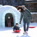 에버스노우 이미지