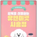 유앤미펫 강아지분양 고양이분양 시흥점 이미지