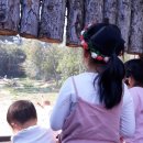 꽃길만 걷장 이미지